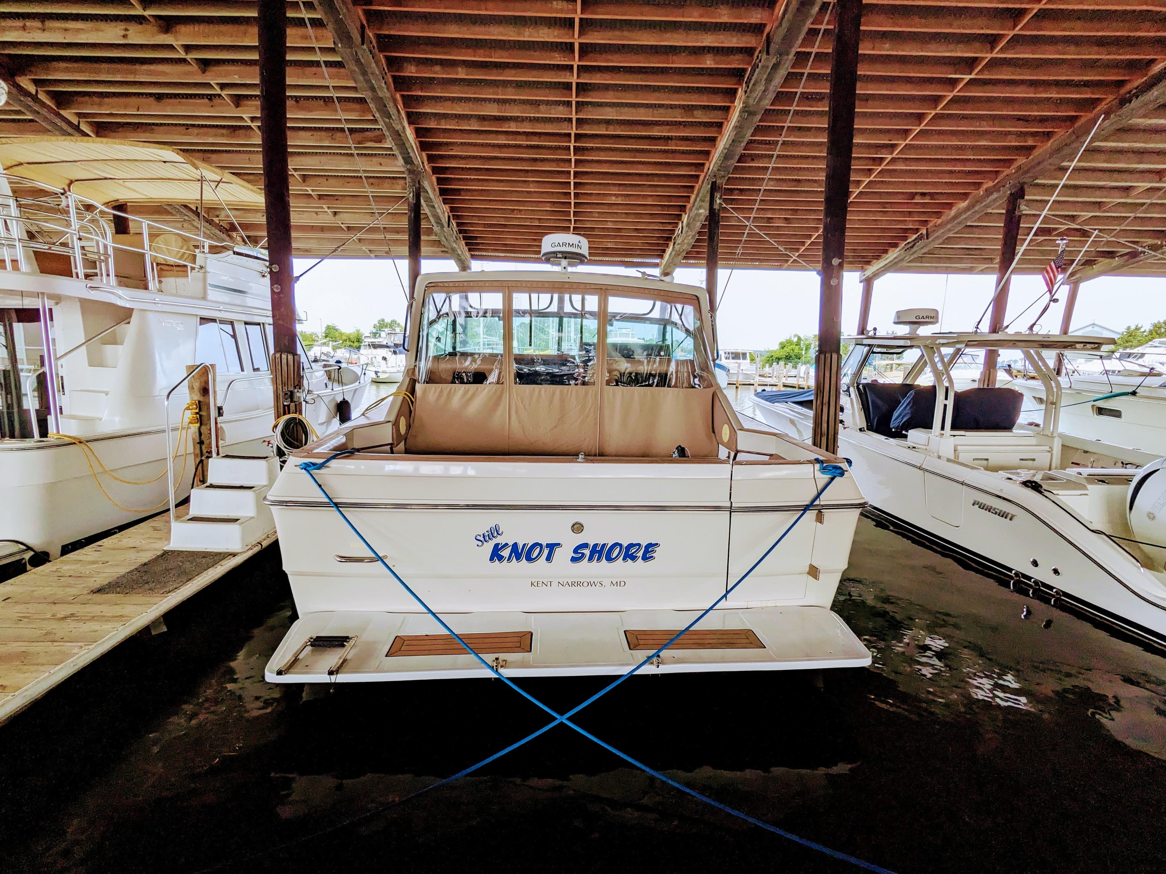 1988 Sea Ray 390 Express Cruiser docked in marina, rear view.